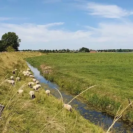 Holiday home Jamies Nu Met Airco *