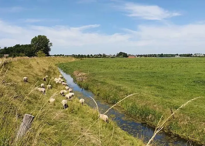 بيت للعطل Jamies Nu Met Airco *
