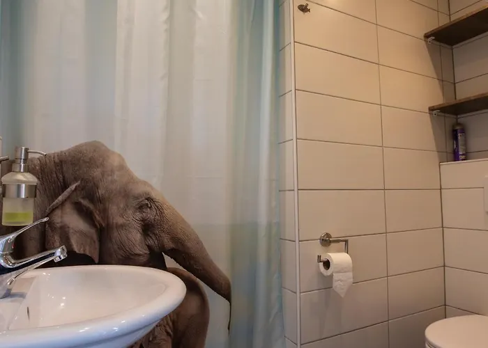 بيت للعطل Jamies Nu Met Airco